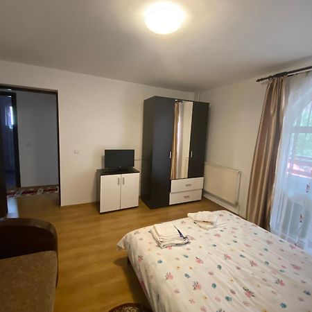 Casa Cristalina&Dumi ξενώνας Albac Εξωτερικό φωτογραφία