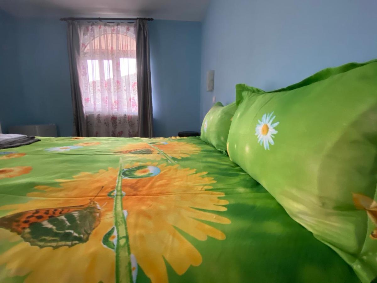 Casa Cristalina&Dumi ξενώνας Albac Εξωτερικό φωτογραφία