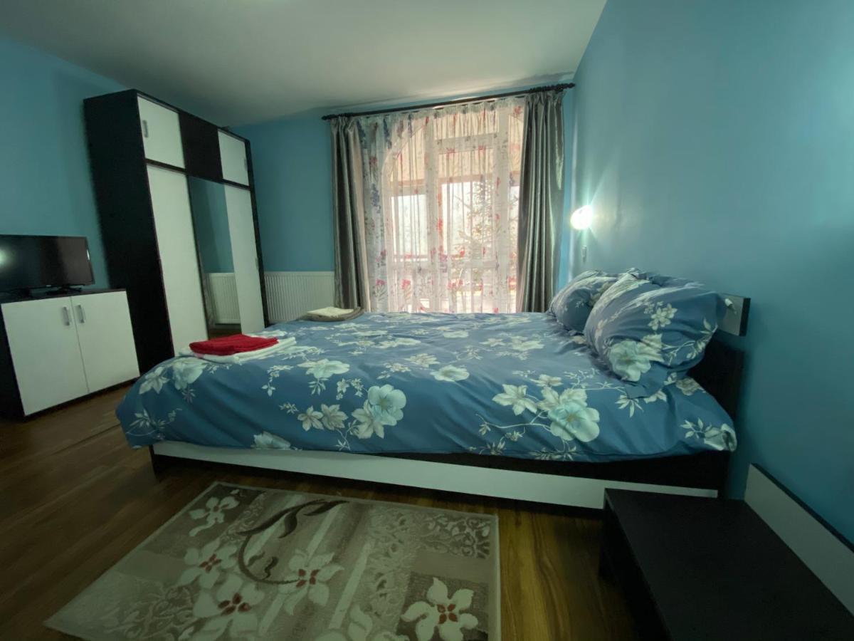 Casa Cristalina&Dumi ξενώνας Albac Εξωτερικό φωτογραφία