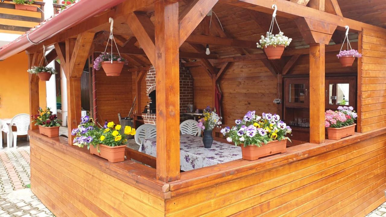 Casa Cristalina&Dumi ξενώνας Albac Εξωτερικό φωτογραφία