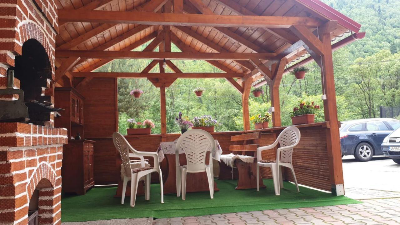 Casa Cristalina&Dumi ξενώνας Albac Εξωτερικό φωτογραφία