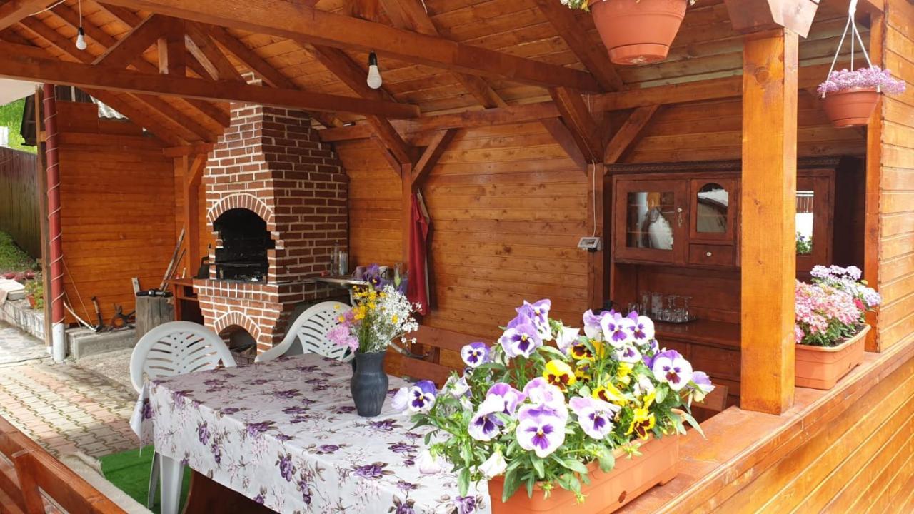 Casa Cristalina&Dumi ξενώνας Albac Εξωτερικό φωτογραφία