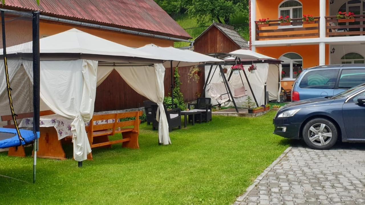 Casa Cristalina&Dumi ξενώνας Albac Εξωτερικό φωτογραφία