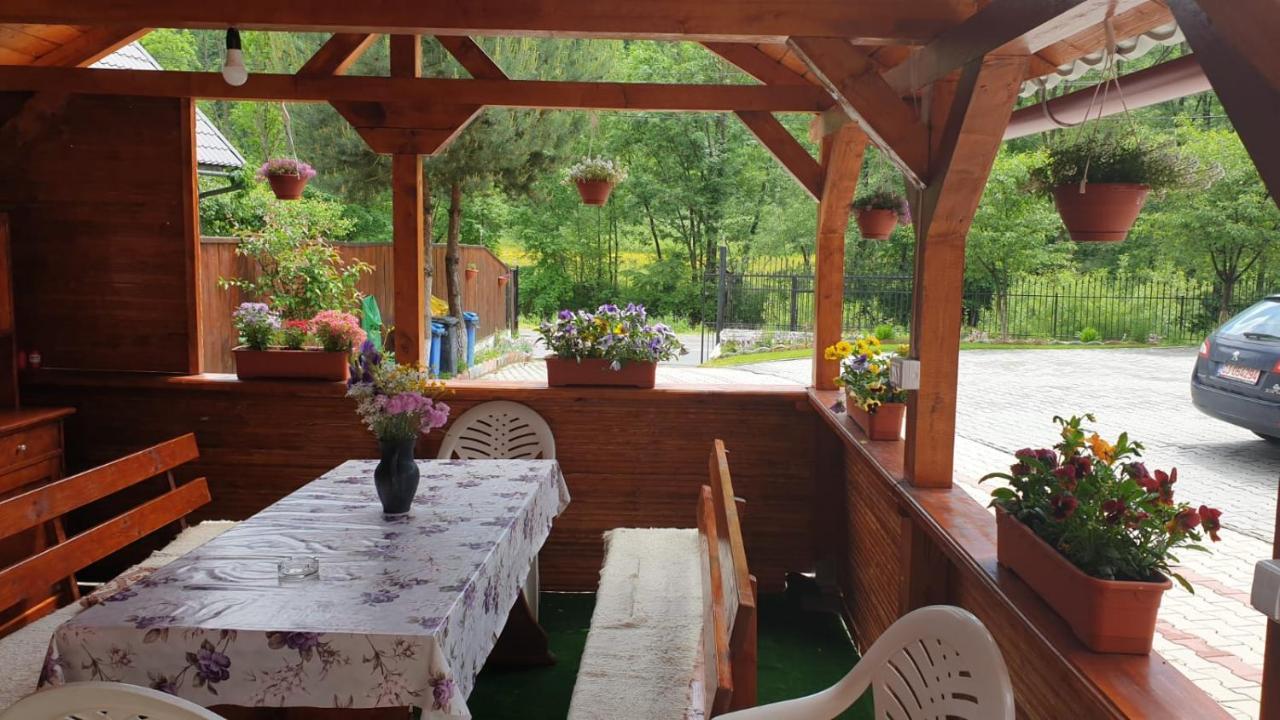Casa Cristalina&Dumi ξενώνας Albac Εξωτερικό φωτογραφία