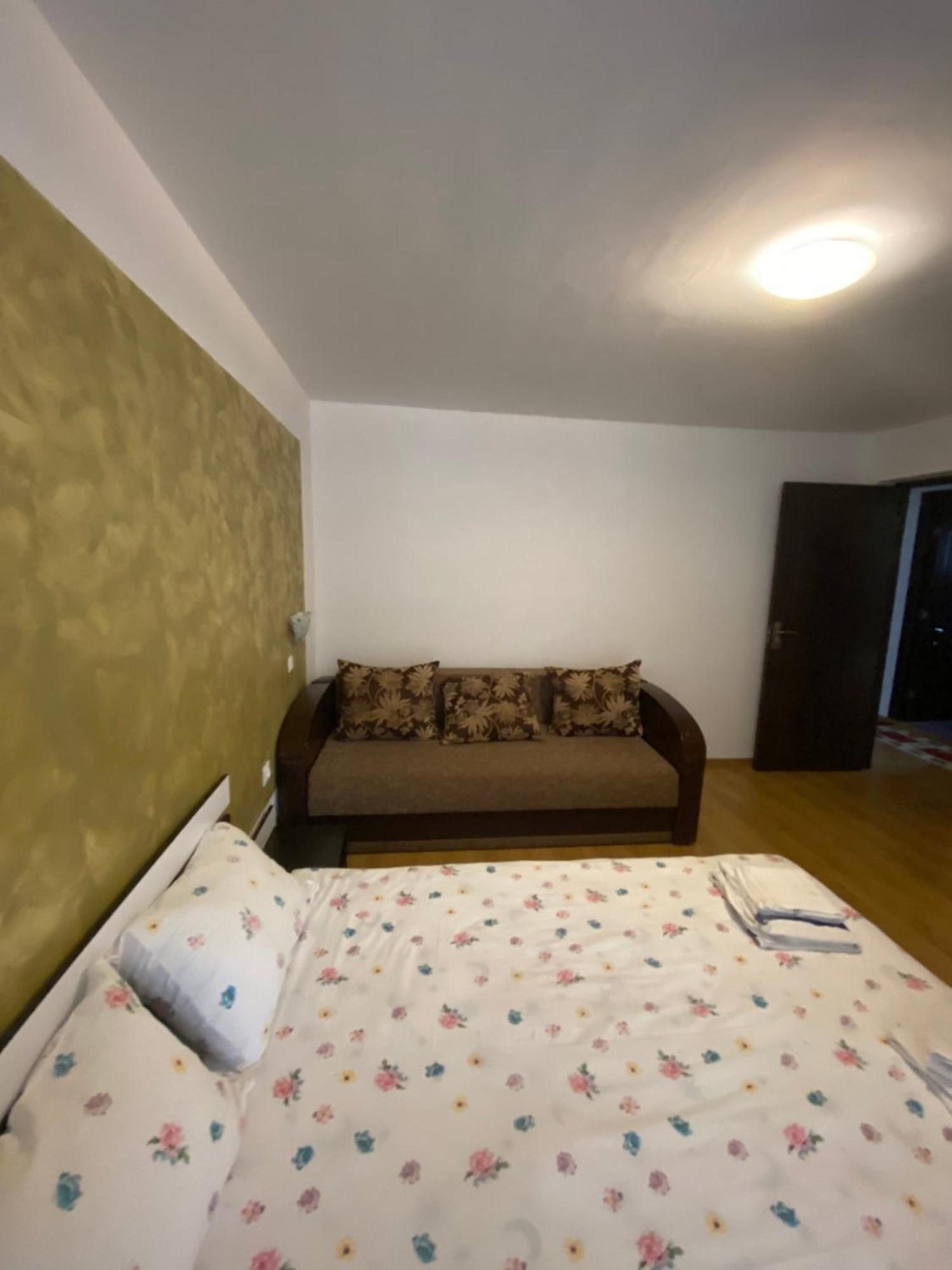 Casa Cristalina&Dumi ξενώνας Albac Εξωτερικό φωτογραφία