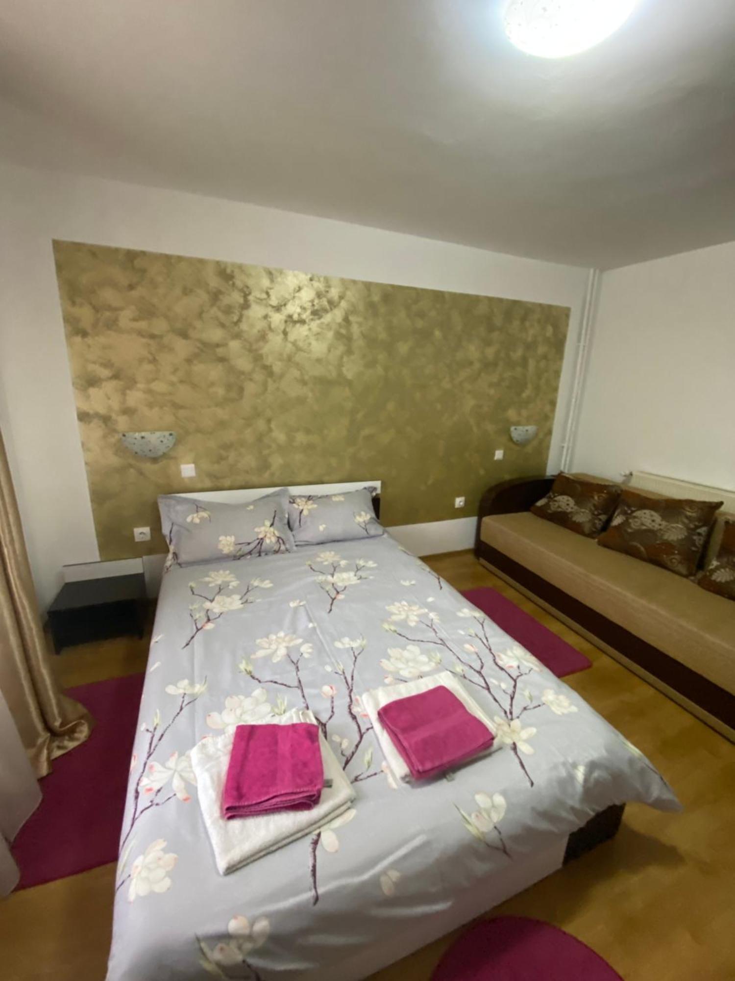 Casa Cristalina&Dumi ξενώνας Albac Εξωτερικό φωτογραφία