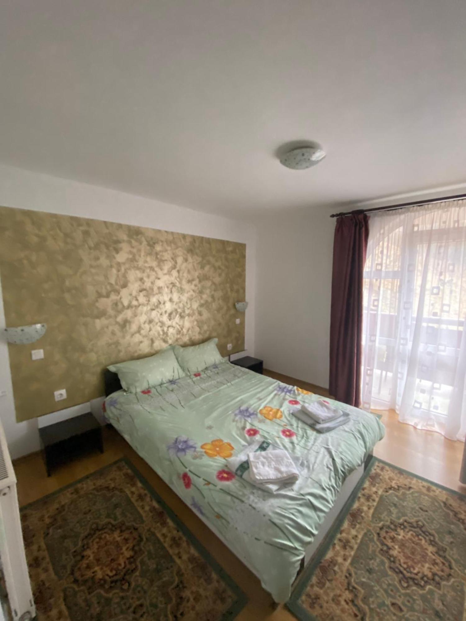 Casa Cristalina&Dumi ξενώνας Albac Εξωτερικό φωτογραφία