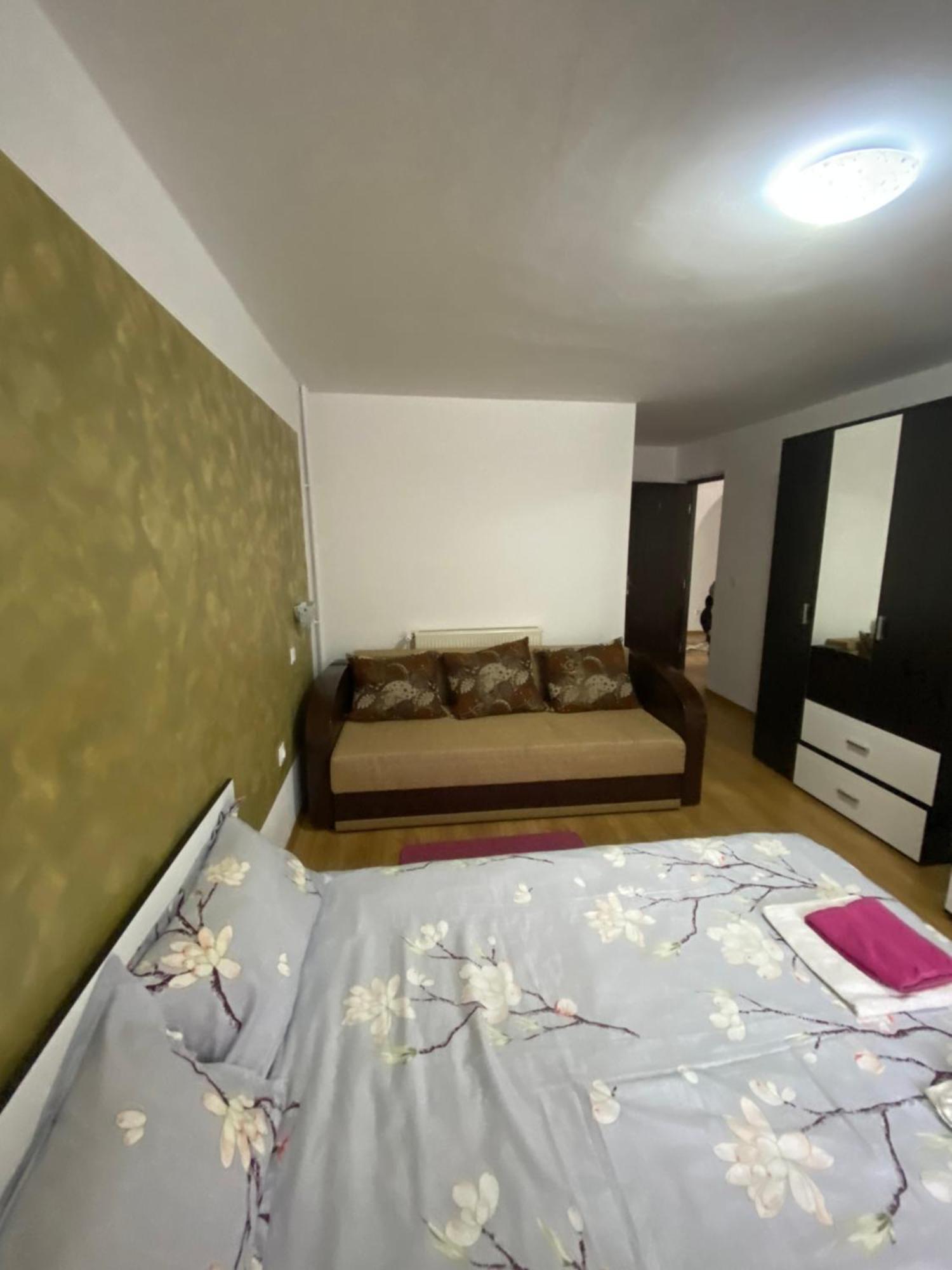 Casa Cristalina&Dumi ξενώνας Albac Εξωτερικό φωτογραφία