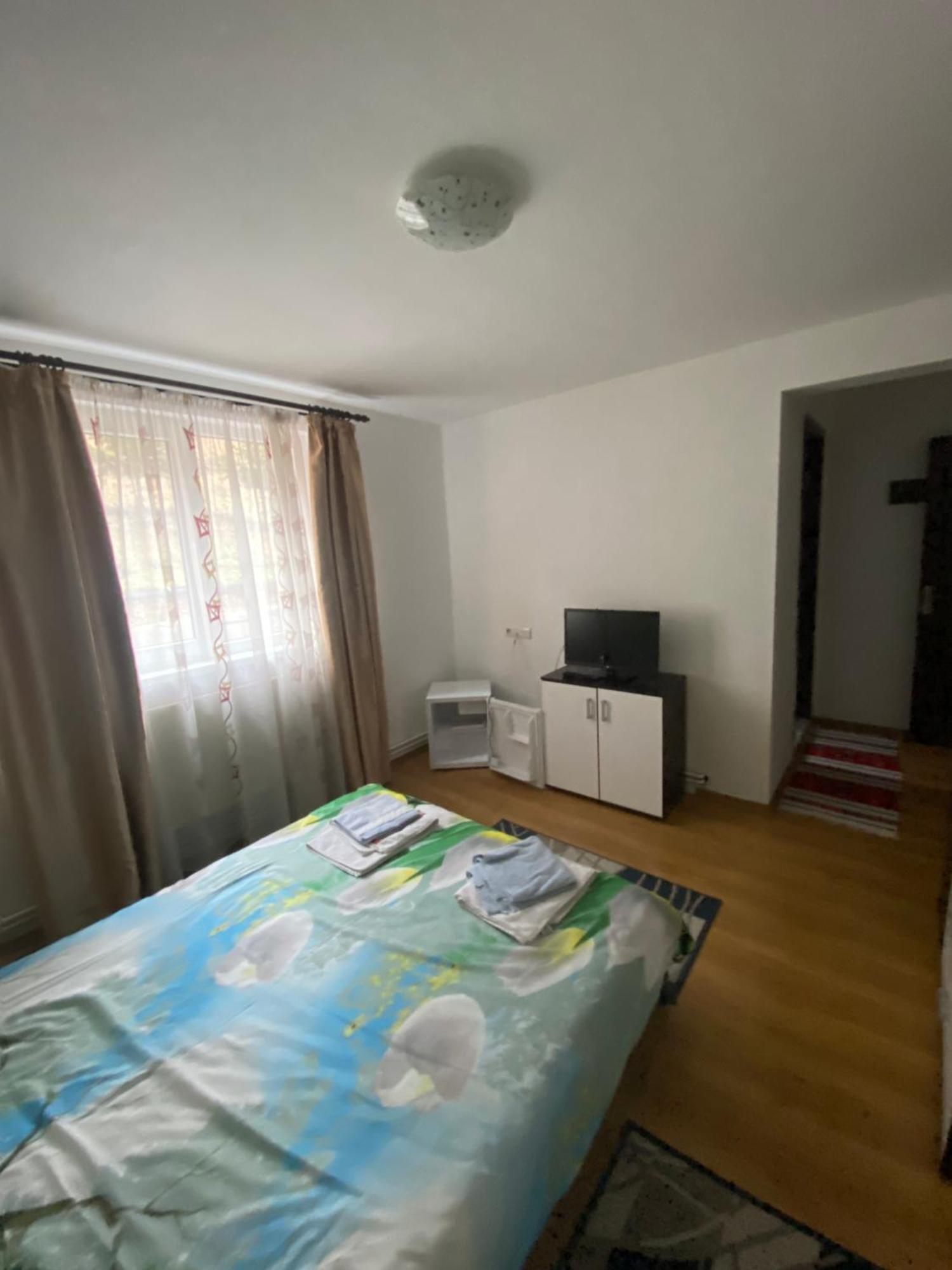 Casa Cristalina&Dumi ξενώνας Albac Εξωτερικό φωτογραφία