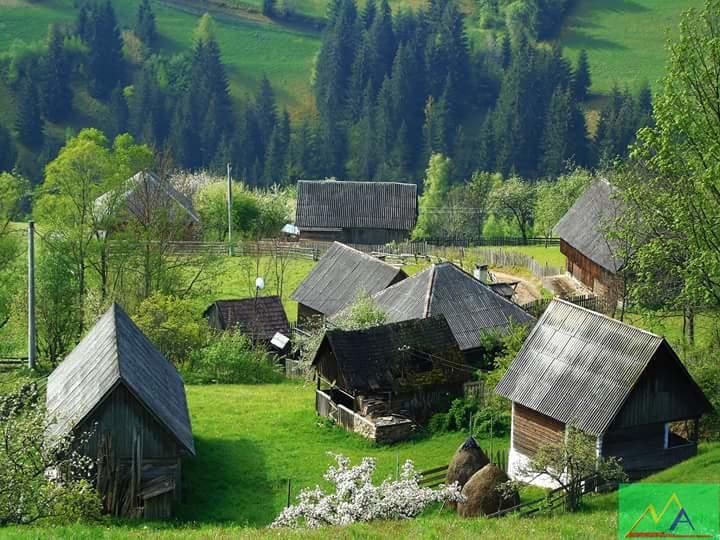 Casa Cristalina&Dumi ξενώνας Albac Εξωτερικό φωτογραφία